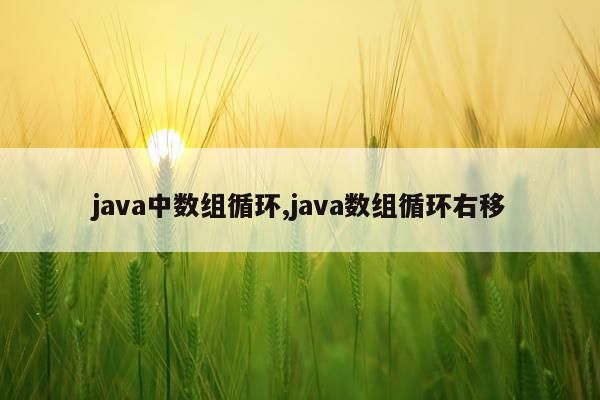 java中数组循环,java数组循环右移