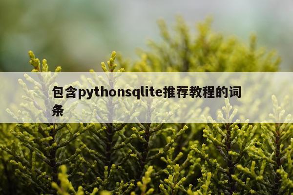 包含pythonsqlite推荐教程的词条