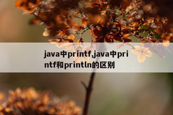 java中printf,java中printf和println的区别