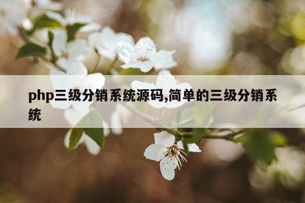 php三级分销系统源码,简单的三级分销系统