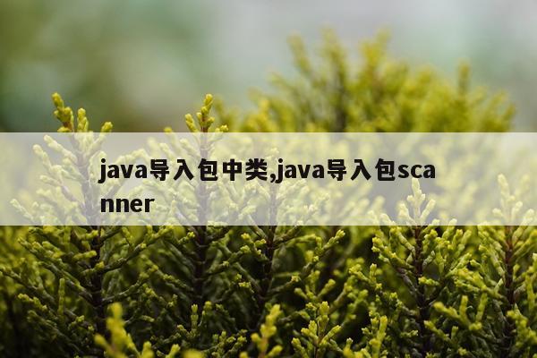 java导入包中类,java导入包scanner