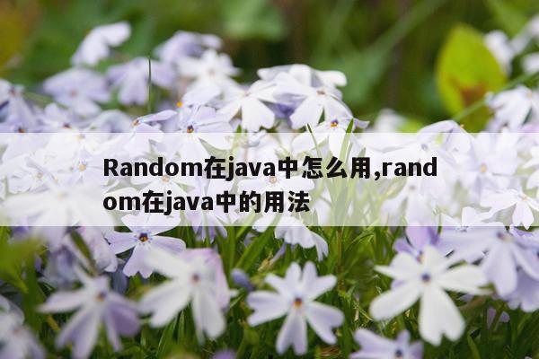 Random在java中怎么用,random在java中的用法