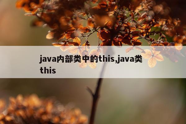 java内部类中的this,java类 this