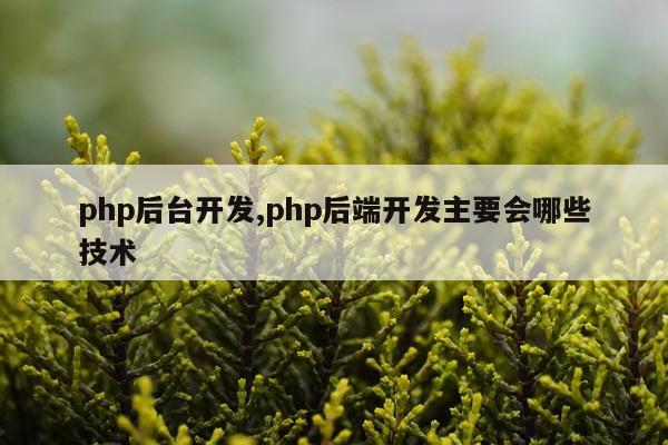 php后台开发,php后端开发主要会哪些技术