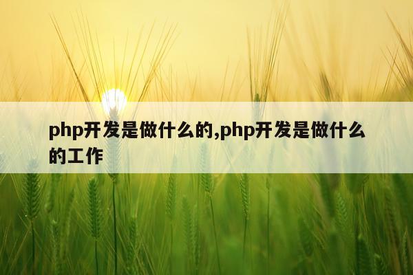 php开发是做什么的,php开发是做什么的工作