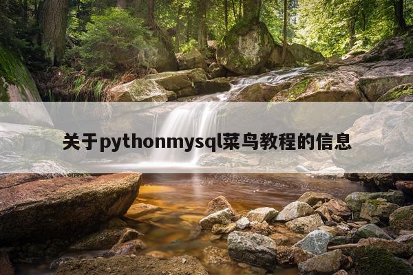 关于pythonmysql菜鸟教程的信息
