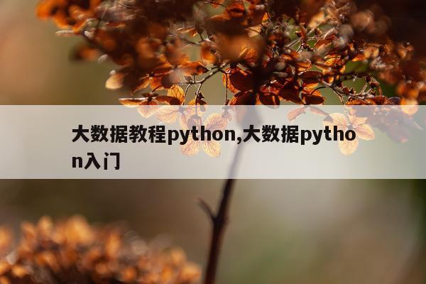 大数据教程python,大数据python入门