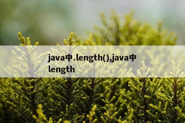 java中.length(),java中length
