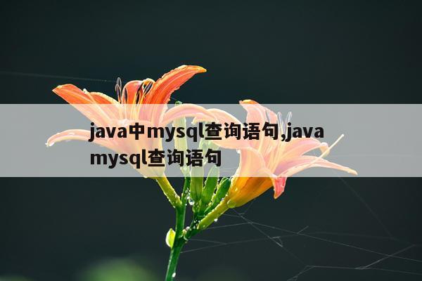 java中mysql查询语句,java mysql查询语句