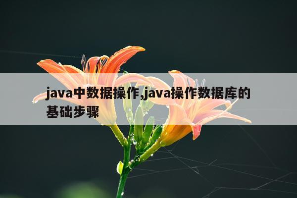 java中数据操作,java操作数据库的基础步骤