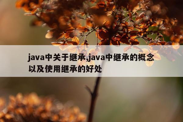 java中关于继承,java中继承的概念以及使用继承的好处