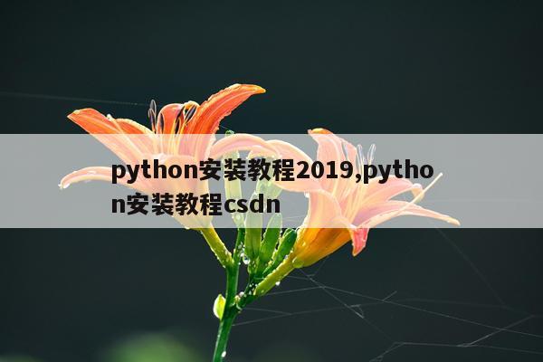 python安装教程2019,python安装教程csdn