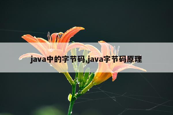 java中的字节码,java字节码原理