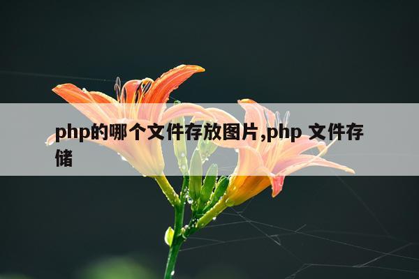 php的哪个文件存放图片,php 文件存储