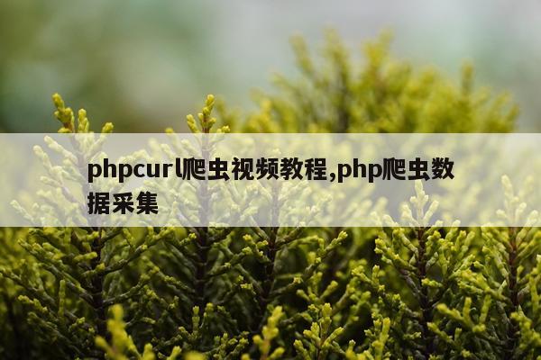 phpcurl爬虫视频教程,php爬虫数据采集
