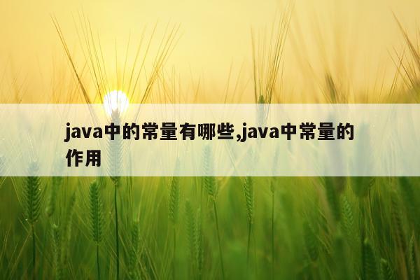 java中的常量有哪些,java中常量的作用