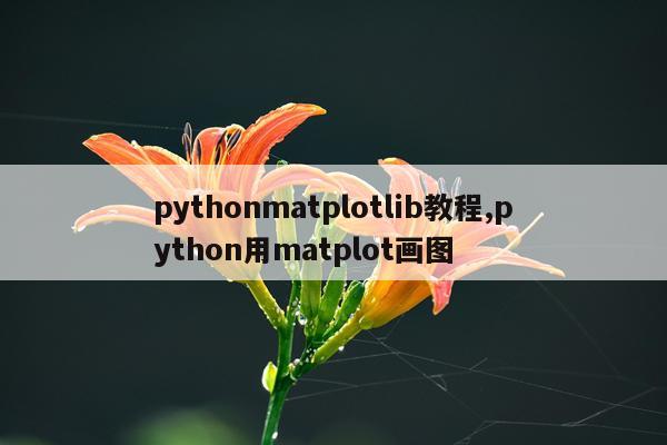 pythonmatplotlib教程,python用matplot画图