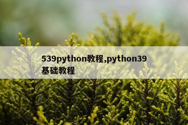 539python教程,python39基础教程