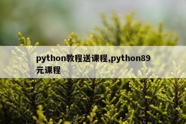 python教程送课程,python89元课程