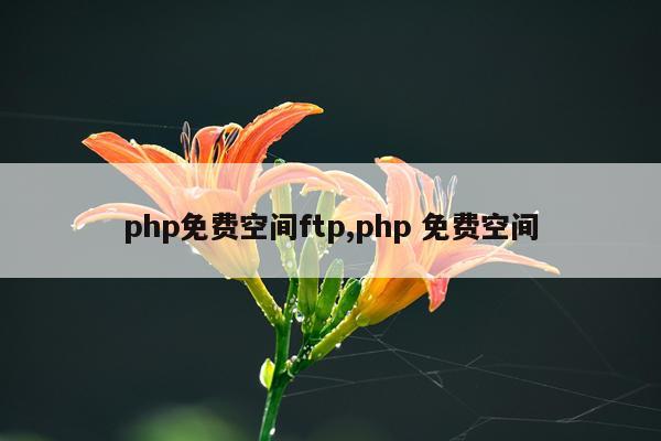 php免费空间ftp,php 免费空间