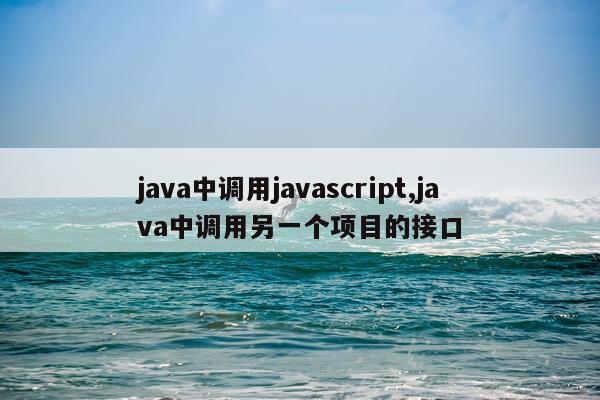 java中调用javascript,java中调用另一个项目的接口