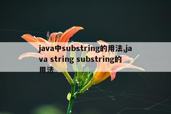 java中substring的用法,java string substring的用法