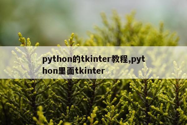 python的tkinter教程,python里面tkinter
