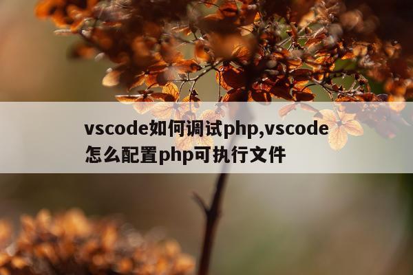 vscode如何调试php,vscode怎么配置php可执行文件