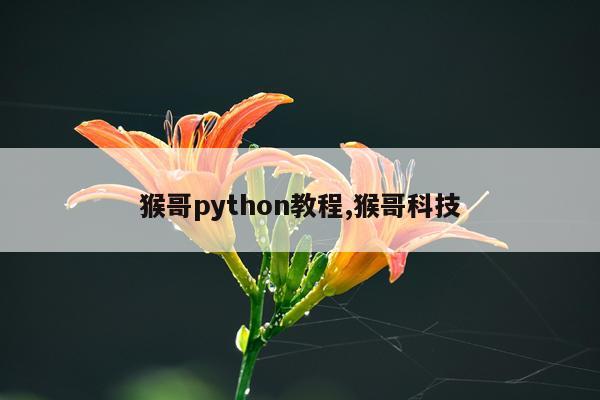 猴哥python教程,猴哥科技