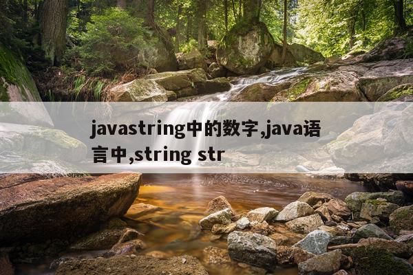 javastring中的数字,java语言中,string str