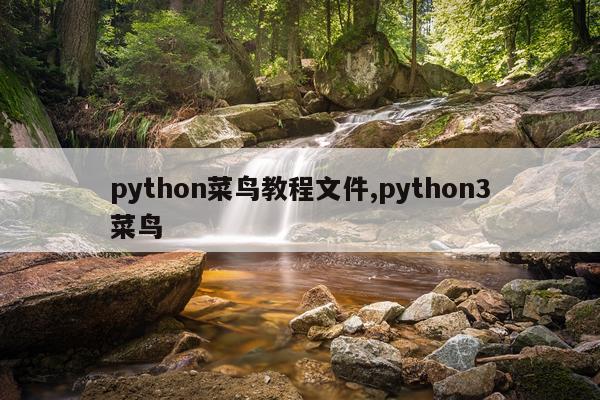 python菜鸟教程文件,python3菜鸟