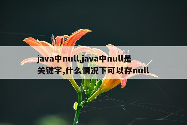 java中null,java中null是关键字,什么情况下可以存null