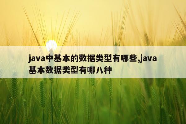 java中基本的数据类型有哪些,java基本数据类型有哪八种