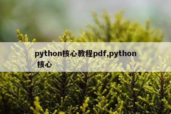 python核心教程pdf,python 核心