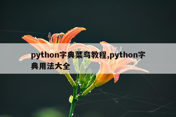python字典菜鸟教程,python字典用法大全