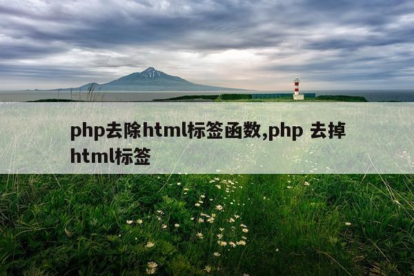 php去除html标签函数,php 去掉html标签