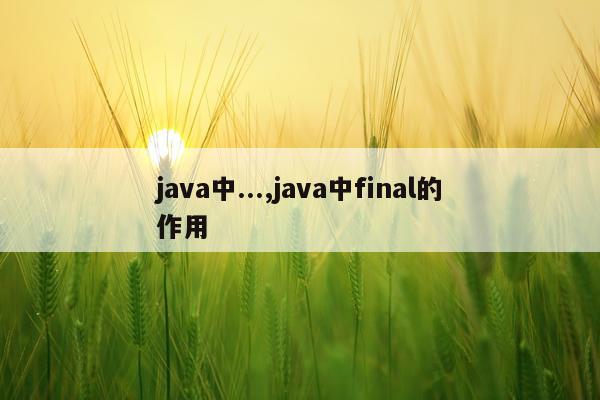 java中...,java中final的作用