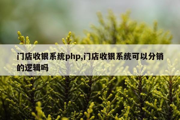 门店收银系统php,门店收银系统可以分销的逻辑吗