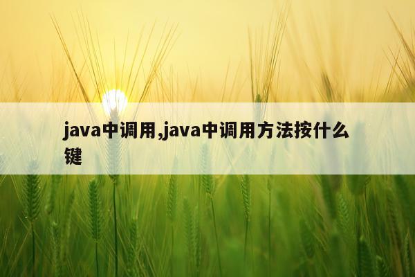 java中调用,java中调用方法按什么键
