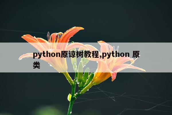 python原谅树教程,python 原类
