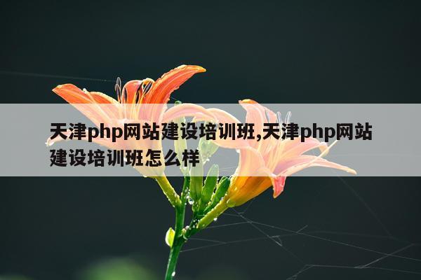 天津php网站建设培训班,天津php网站建设培训班怎么样
