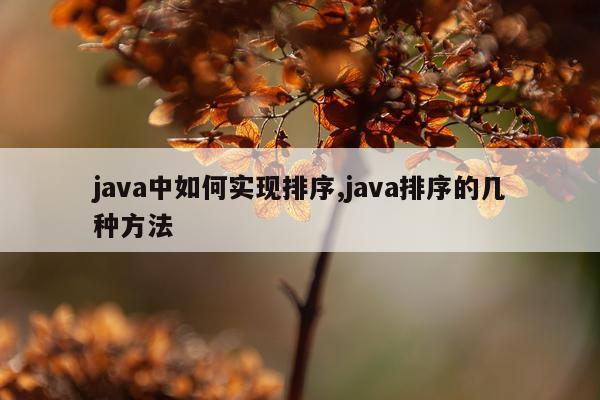 java中如何实现排序,java排序的几种方法