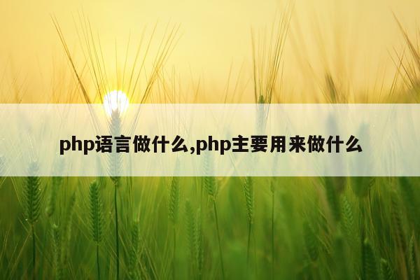 php语言做什么,php主要用来做什么