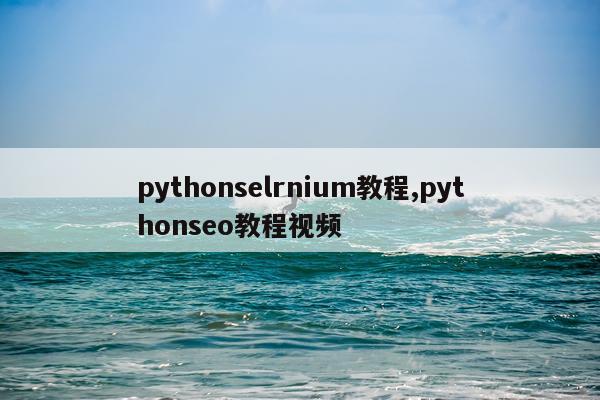 pythonselrnium教程,pythonseo教程视频
