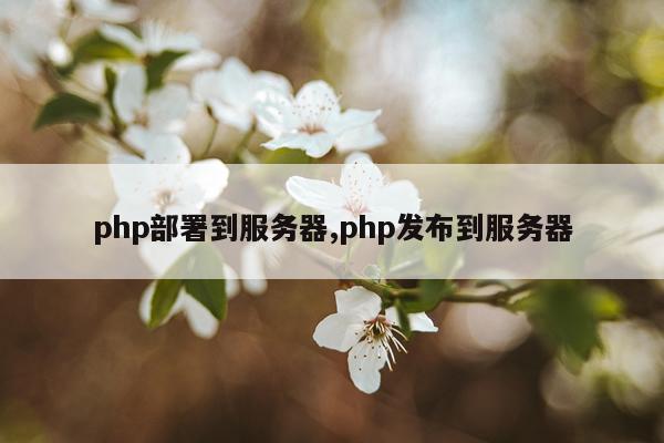 php部署到服务器,php发布到服务器