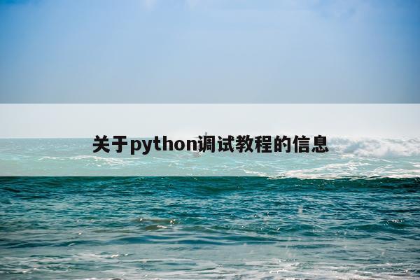 关于python调试教程的信息