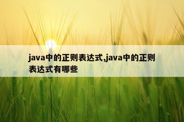 java中的正则表达式,java中的正则表达式有哪些