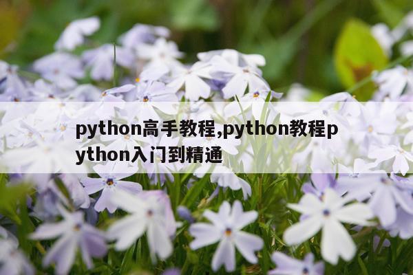 python高手教程,python教程python入门到精通
