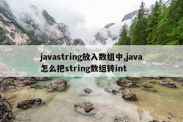 javastring放入数组中,java怎么把string数组转int