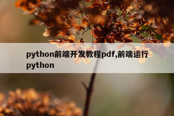 python前端开发教程pdf,前端运行python
